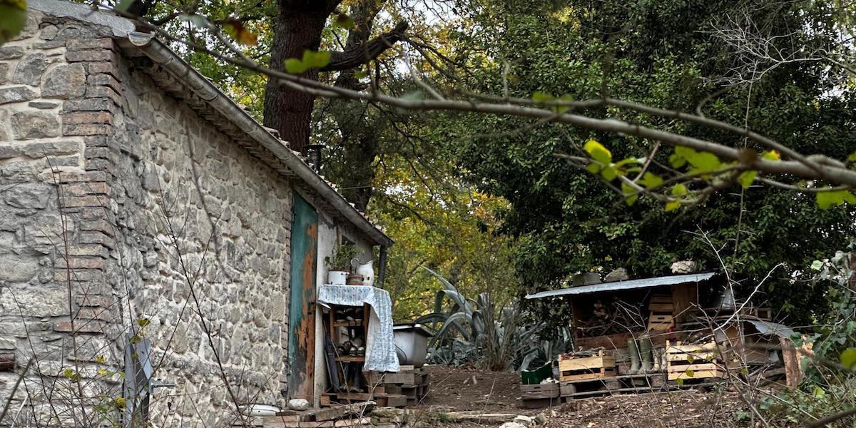 Via i figli alla famiglia nel bosco, ‘leso diritto a relazioni’