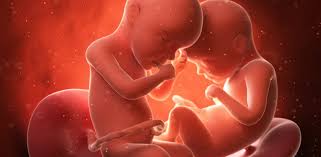 Gemelli nella pancia